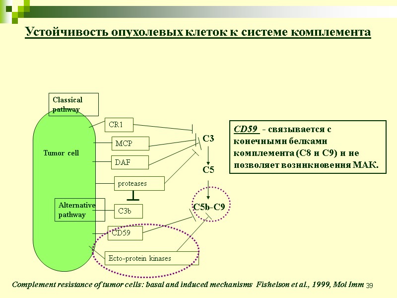39 Устойчивость опухолевых клеток к системе комплемента Complement resistance of tumor cells: basal and